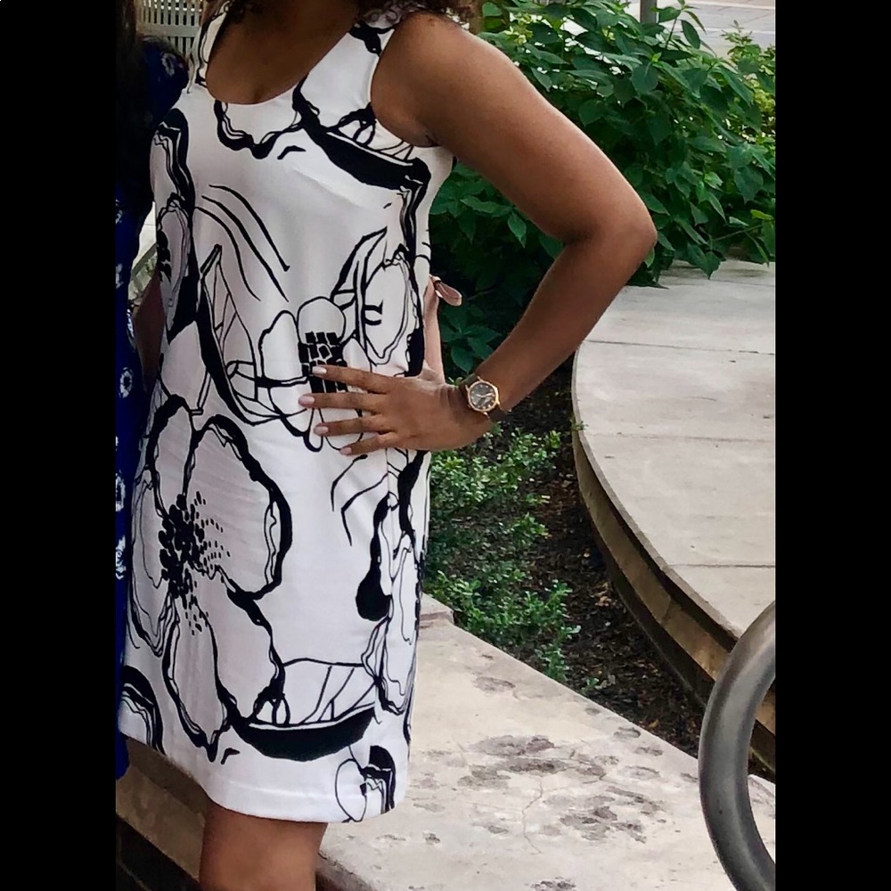 Ann Taylor Factory Graphic Shift Dress